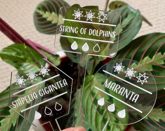 Custom Indoor Plant Tags | Acrylic Plant Markers, Set of 2 | Personalized Plant Label