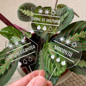 Set of 2 Plant Tags, Custom Plant Tags, Acrylic Plant Tags, Plant Accessories, Acrylic Plant Labels, Acrylic Plant Markers, Plant Labels