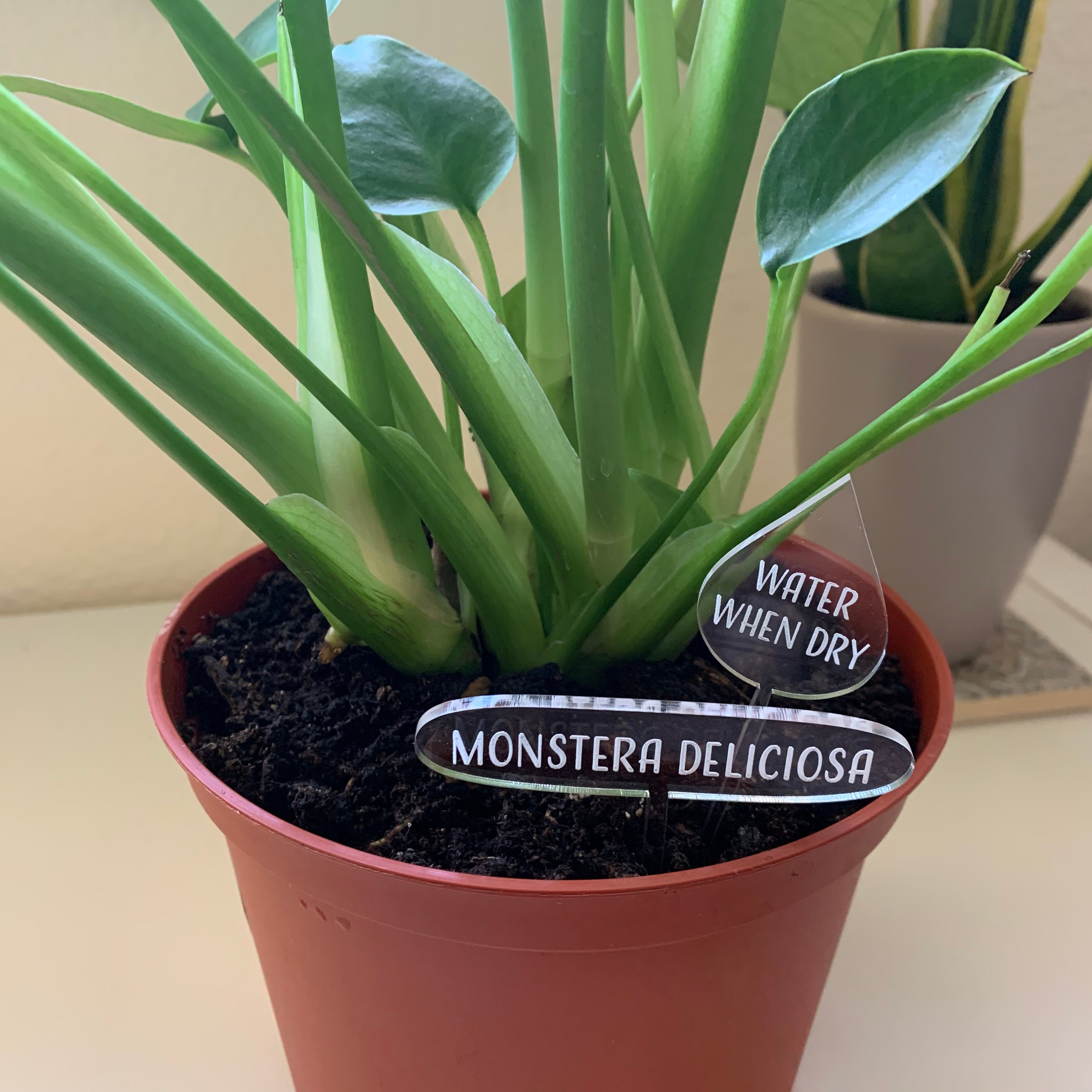 Set of 3 Plant Tags Custom Plant Tags Plant Labels Acrylic Etsy