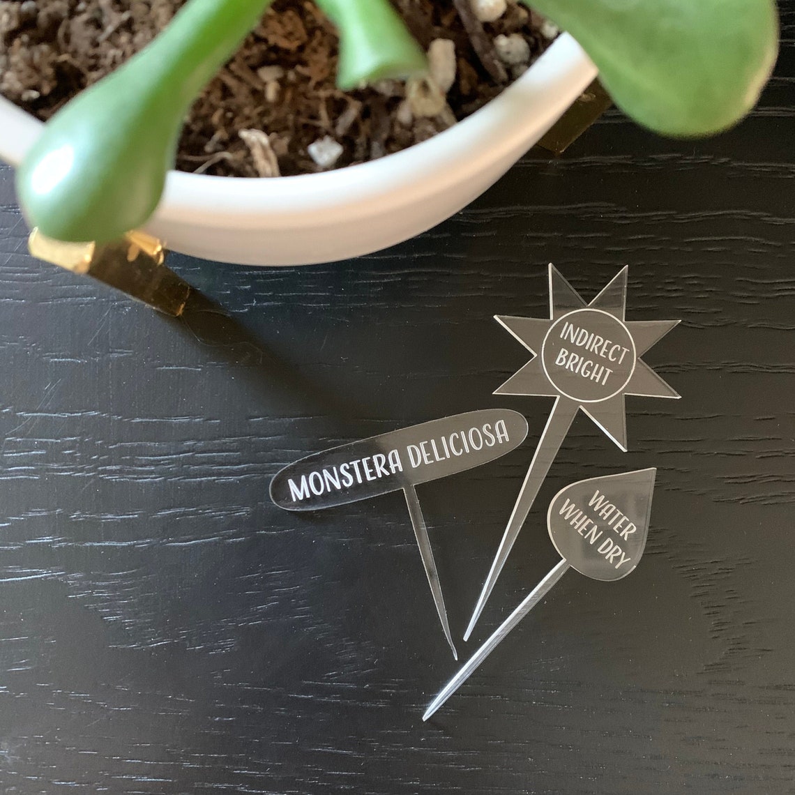 Set of 3 Plant Tags Custom Plant Tags Plant Labels Acrylic Etsy