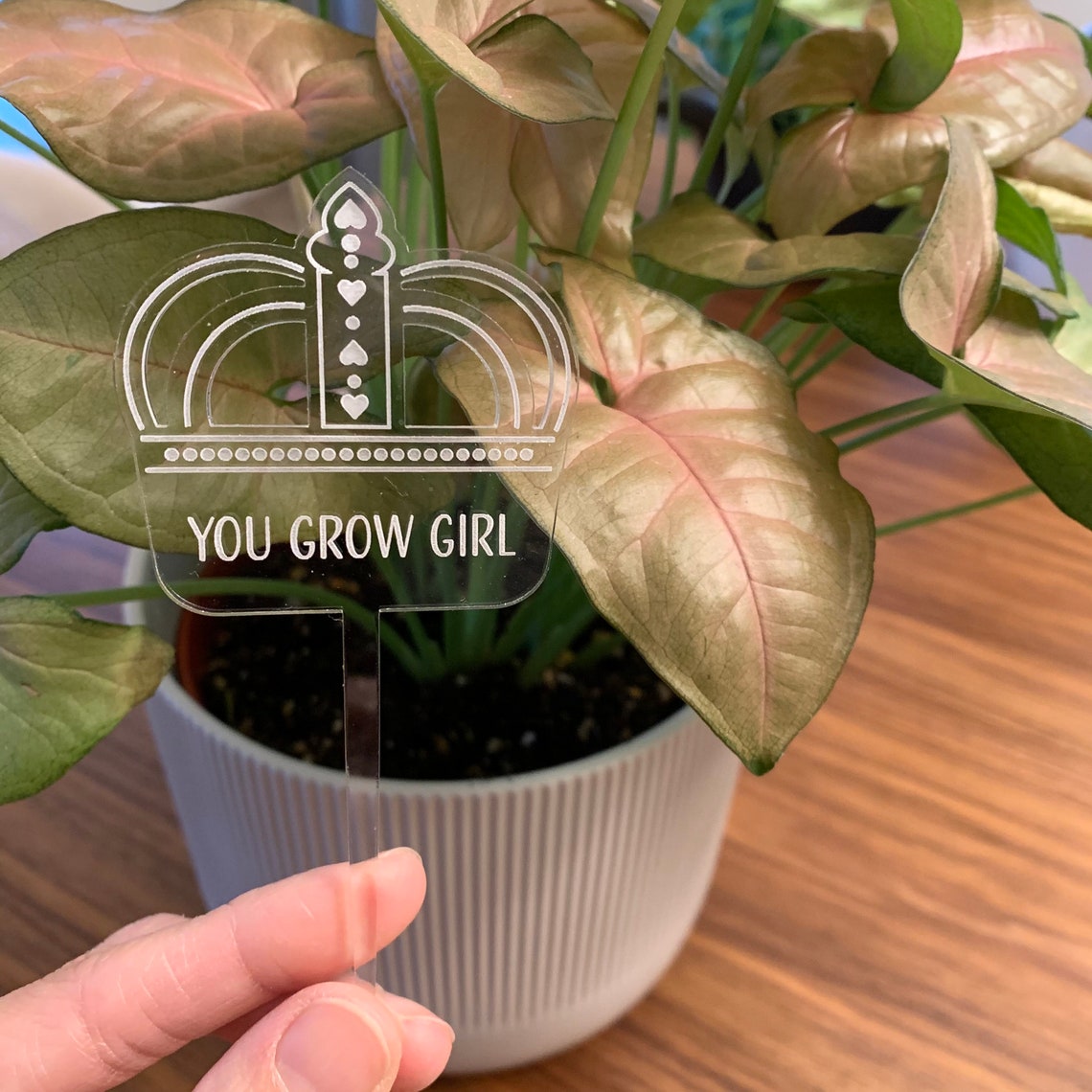 Set of 2 Plant Tags Acrylic Plant Tags Custom Plant Tags Etsy