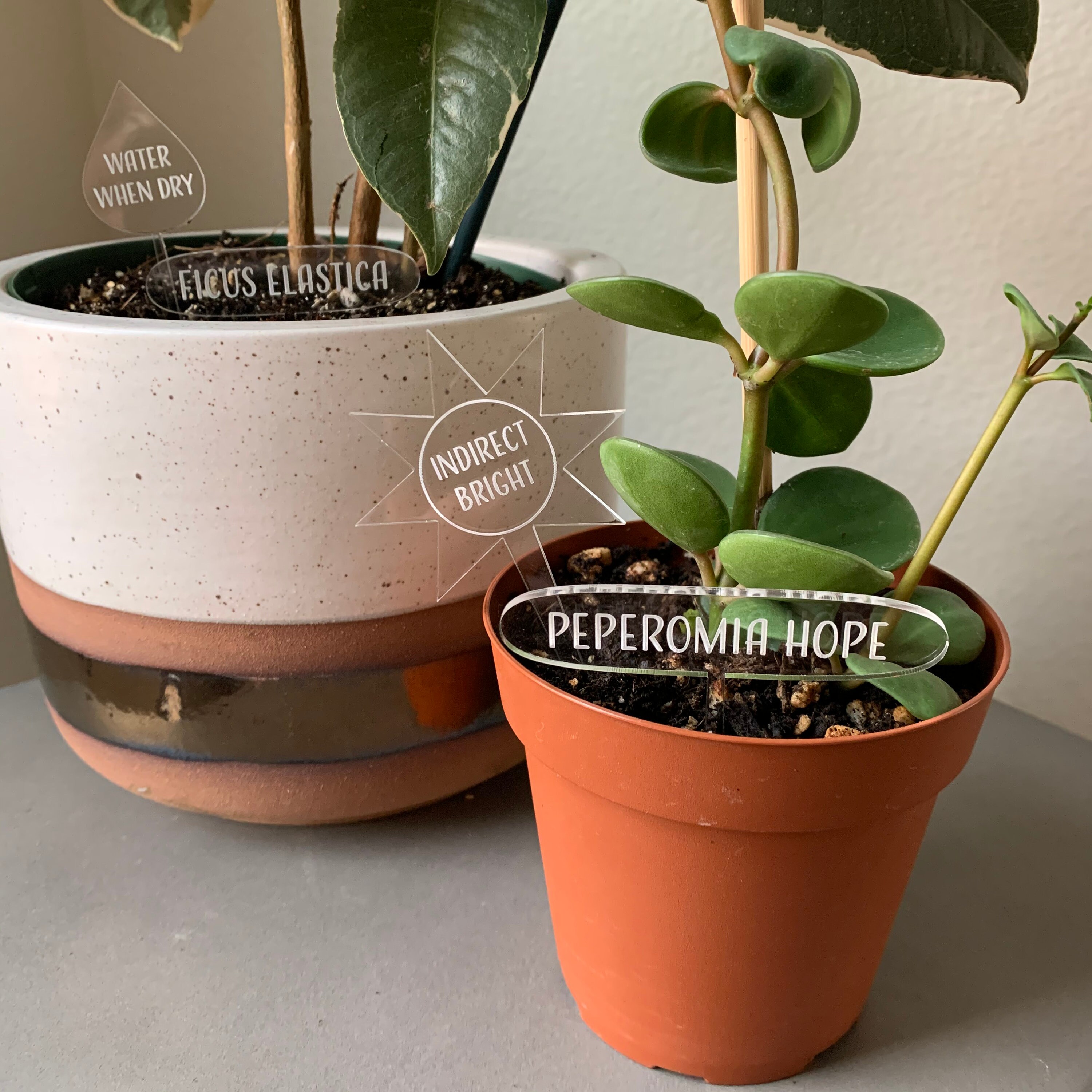 Set of 3 Plant Tags Custom Plant Tags Plant Labels Acrylic Etsy