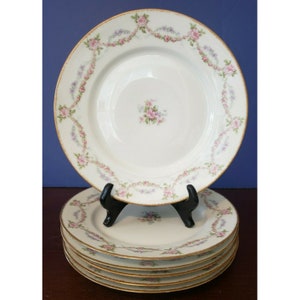 Limoges Lunch Plates, France, C. Ahrenfeldt 8.75&quot; Red/Pink/Purple floral swag