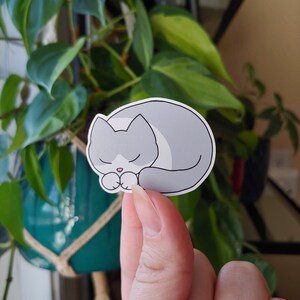 Poussiéreux | autocollant en vinyle imperméable à l’eau | autocollant de chat mignon | autocollant chaton endormi