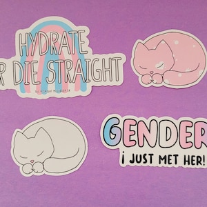 Trans Themed LGBTQIA + Sticker Bundle | Niedliches Sticker Bundle | Hydrate or Die Straight | Wasserdichter Wasserflaschenaufkleber