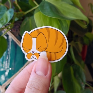 Maple | waterproof vinyl sticker | cute cat sticker | sleepy kitten sticker