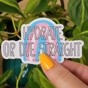 LGBTQIA+ Sticker | Trans Flag | Hydrate oder Die Straight | Wasserflaschen Sticker