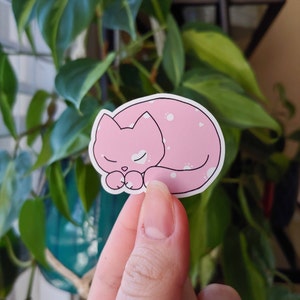 Valentine | waterproof vinyl sticker | cute cat sticker | sleepy kitten sticker