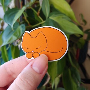 Gordon | waterproof vinyl sticker | cute cat sticker | sleepy kitten sticker