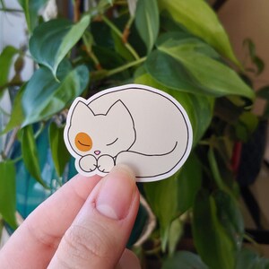 Dottie | waterproof vinyl sticker | cute cat sticker | sleepy kitten sticker