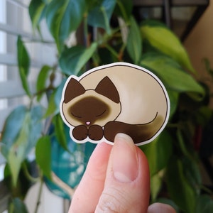 Reinhardt | autocollant en vinyle imperméable | autocollant de chat mignon | autocollant chaton endormi