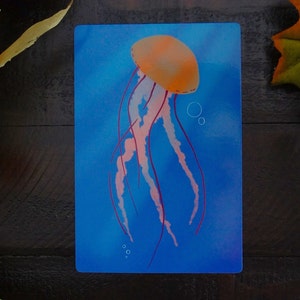 Pacific Sea Nettle Print | 6x4 glossy jellyfish print