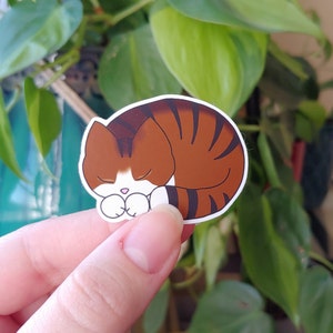 Lien | autocollant imperméable en vinyle | autocollant chat mignon | Sticker chaton endormi