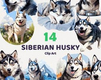 Siberian Huskies Clipart, cute pet images for Commercial Use, 14 transparent PNGs with instant download