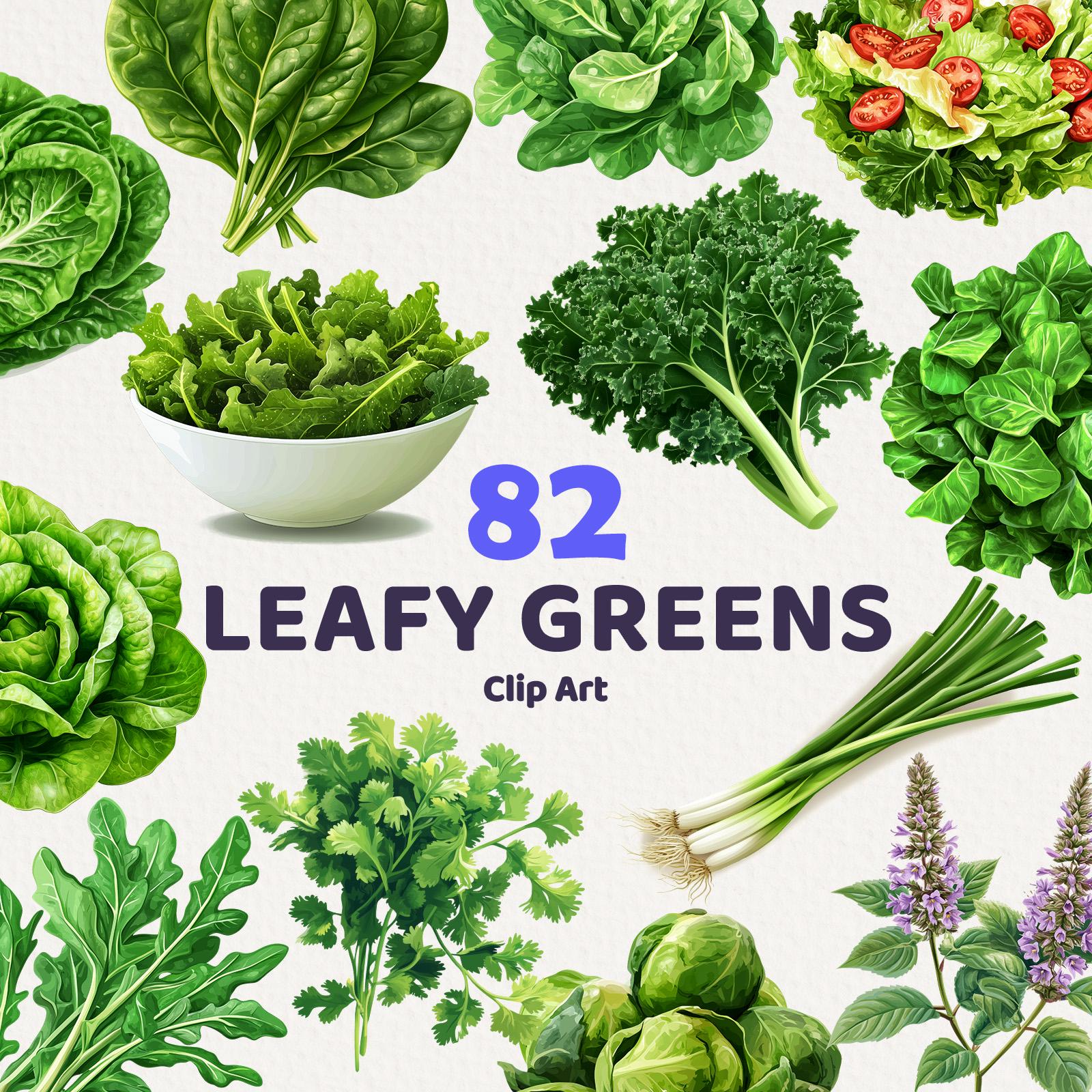 Espinacas png - Etsy México, image size:1600x1600