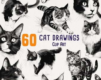 60 Cat Drawings Clipart, Pet art for commercial use, Black cats, Kittens, Sleeping cats, Felines, Furry pals, No license, Scrapbooking art