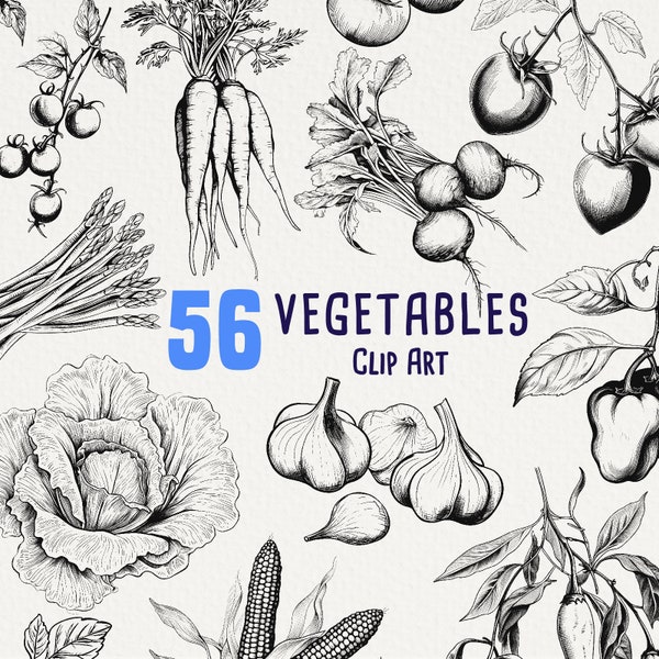 56 Vegetable Ink Drawing Clipart, vegetable art for commercial use, Botanical image, Garlic, Potato, Beets, Onion, No license, Scrapbooking