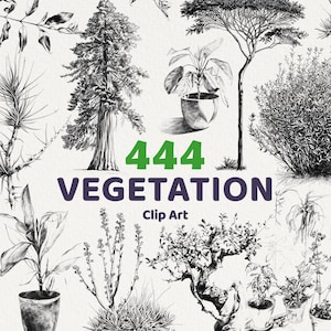 May include: A collection of 444 black and white illustrations of various types of vegetation, including trees, shrubs, and plants. The illustrations are labeled "444 VEGETATION Clip Art".