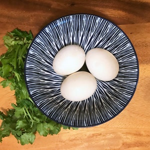 FREE SHIPPING Farm-Fresh Duck Eggs **Organic, Free-Range