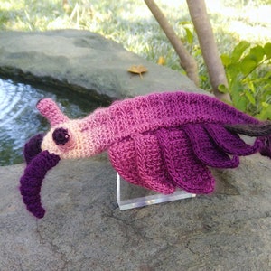 PATTERN ONLY Anomalocaris Burgess Shale Fossil Amigurumi Crochet