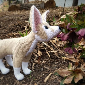 PATTERN ONLY Fennec Fox Amigurumi Crochet