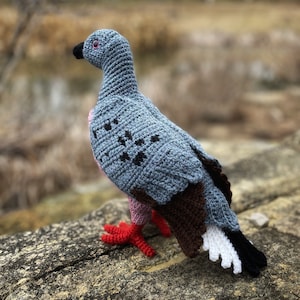 PATTERN ONLY Passenger Pigeon Fruit Dove Kereru Amigurumi