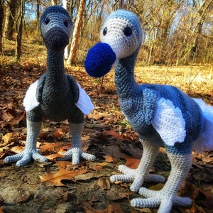 PATTERN ONLY Dodo Amigurumi Crochet