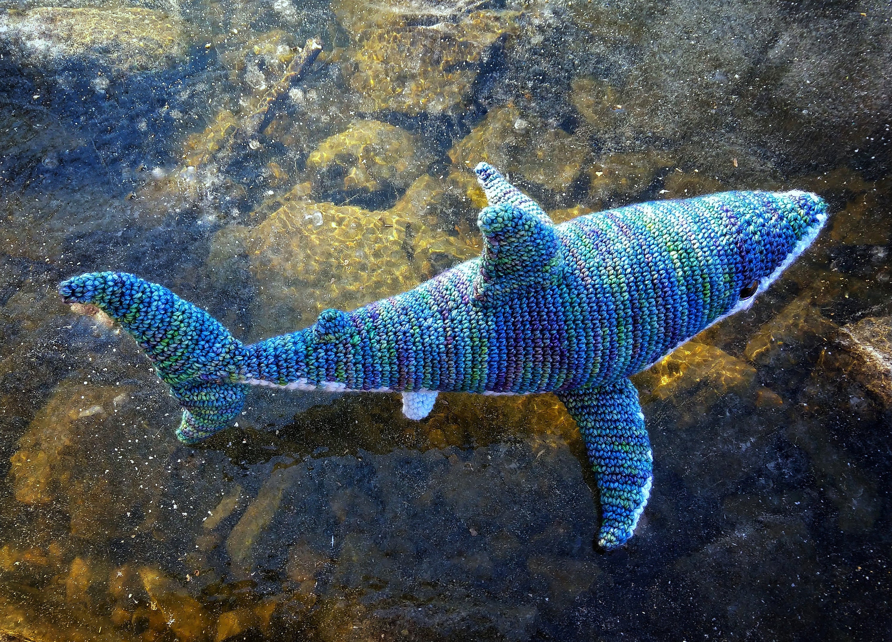 Buy PATTERN ONLY Megalodon Shark Amigurumi Crochet Great White Online in  India - Etsy, image size:3000x2159