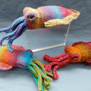 PATTERN ONLY Rainbow Cuttlefish Amigurumi Crochet - Etsy Canada