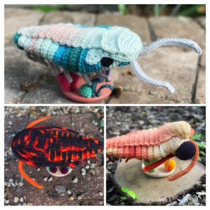 Puede incluir: Tres figuras de artrópodos tejidas a ganchillo. La primera es una criatura segmentada en tonos azul claro, verde azulado y rosa. La segunda es negra con patrones de color naranja brillante. La tercera es un degradado de beige, melocotón y naranja con ojos oscuros.