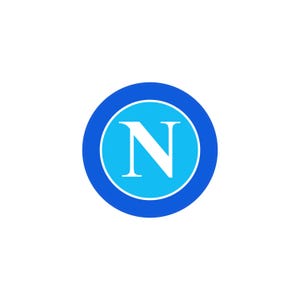 Può includere: Logo circolare con la lettera "N" bianca all'interno di un cerchio azzurro, circondato da un anello blu scuro. Il design è su sfondo bianco.