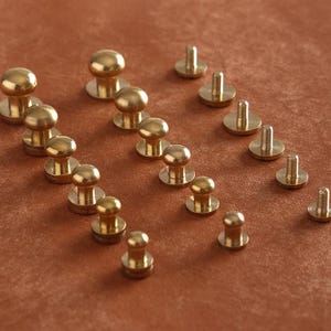 Peut inclure: Assortiment de clous en laiton en forme de dôme de différentes tailles avec des dos à visser. Les clous sont disposés en rangées sur une surface brune.