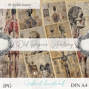 Scrapbook &quot;Old papers - Anatomy&quot; printable papers, scrapbook, scrapbooking kit, junk journal, digital paper, ephemera