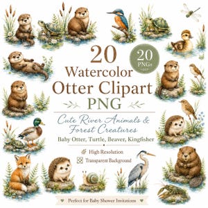 Puede incluir: Una colección de 20 imágenes prediseñadas en acuarela de animales de río y bosque, incluyendo nutrias, tortugas, un martín pescador, un pato, un zorro, erizos, un caracol, una garza y un cangrejo de río, con el texto 20 Watercolor Otter Clipart PNG.