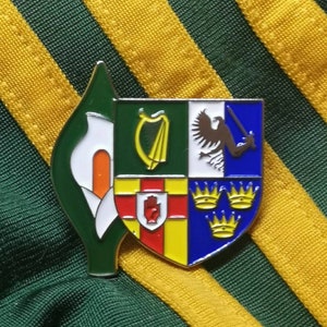 May include: An enamel pin with Irish heraldic symbols. The pin is shield-shaped, displaying a harp, eagle, and crowns. A green and white shamrock-shaped pin is beside it. The background is green and gold striped fabric.