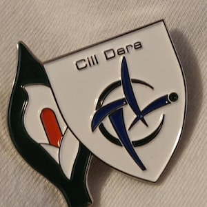 Kildare Easter Lily enamel pin badge - Irish Republic 1916 GAA Ireland