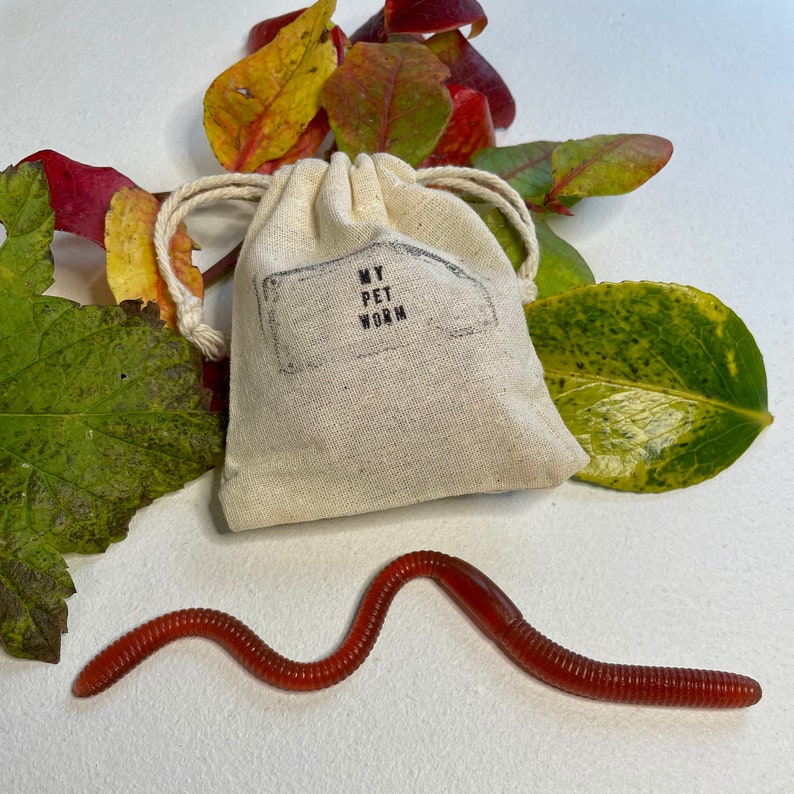 My Pet Worm Fake Worm Novelty Stretchy Rubber Worm With Etsy