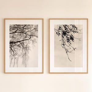 Wall Art Set of 2 Fine Art Prints | Individual Gallery Wall | Minimalist Art Prints | Photography Selection Set (Unframed)