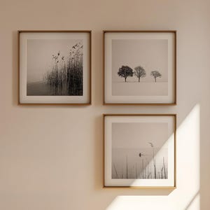 Wall Art Set of 3 Photo Art Prints | Individual Gallery Wall | Minimalist Art Prints | Photography Selection Set