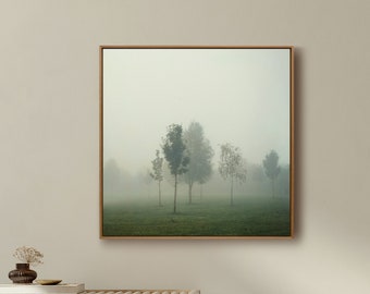 Art photography: foggy landscape | atmospheric park landscape in fog | minimalist nature wall art | FOG IN PARK