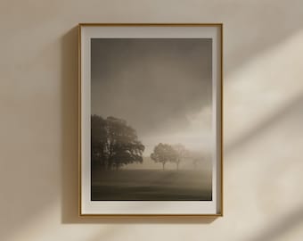 Art photography: Misty landscape with trees | monochrome mural | MORNING LIGHT II