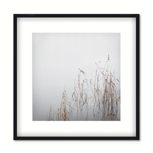 Art photography GREY JANUARY photo print unframed or canvas print, various sizes image 4