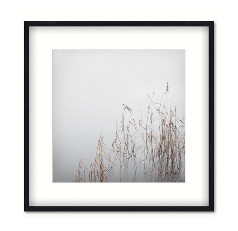 Art photography GREY JANUARY photo print unframed or canvas print, various sizes image 4