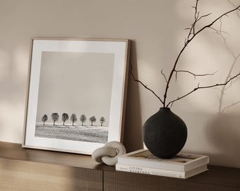 Minimalist photography, art photography, row of trees black and white - GROVE as photo print unframed or canvas print, various sizes
