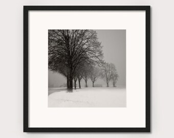 Kunstfotografie "WINTER EVENING" - Fotoabzug oder Leinwand Druck, verschiedene Größen