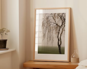 Minimalist nature photography | Autumn tree photography | Birch in the fog | Fine art print, unframed | SILENT WAVES | FALL