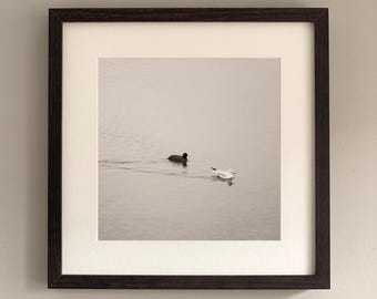 Two birds on calm water | Minimalist black and white photography | Zen nature wall art | Yin & Yang