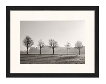 Kunstfotografie "BAUMPARADE" - Fotoabzug ungerahmt oder Leinwand Druck, verschiedene Größen