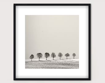 Art photography "GROVE" - photo print unframed or canvas print, various sizes