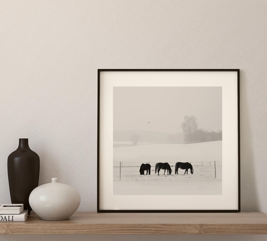Horses in a Snowy Landscape | Black and White Photography | Calm ...